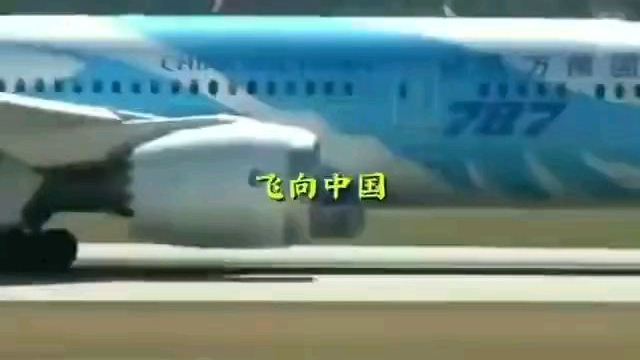 看完泪目被感动了。灾难无情人有情